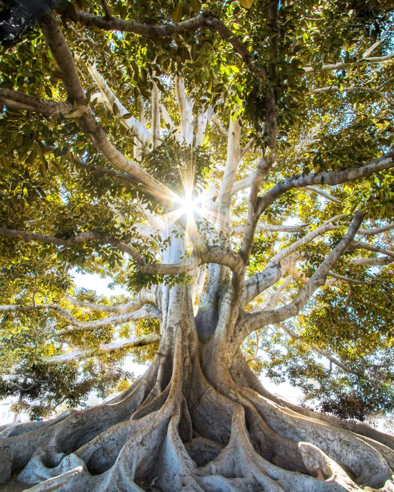 jeremy-bishop-EwKXn5CapA4-unsplash